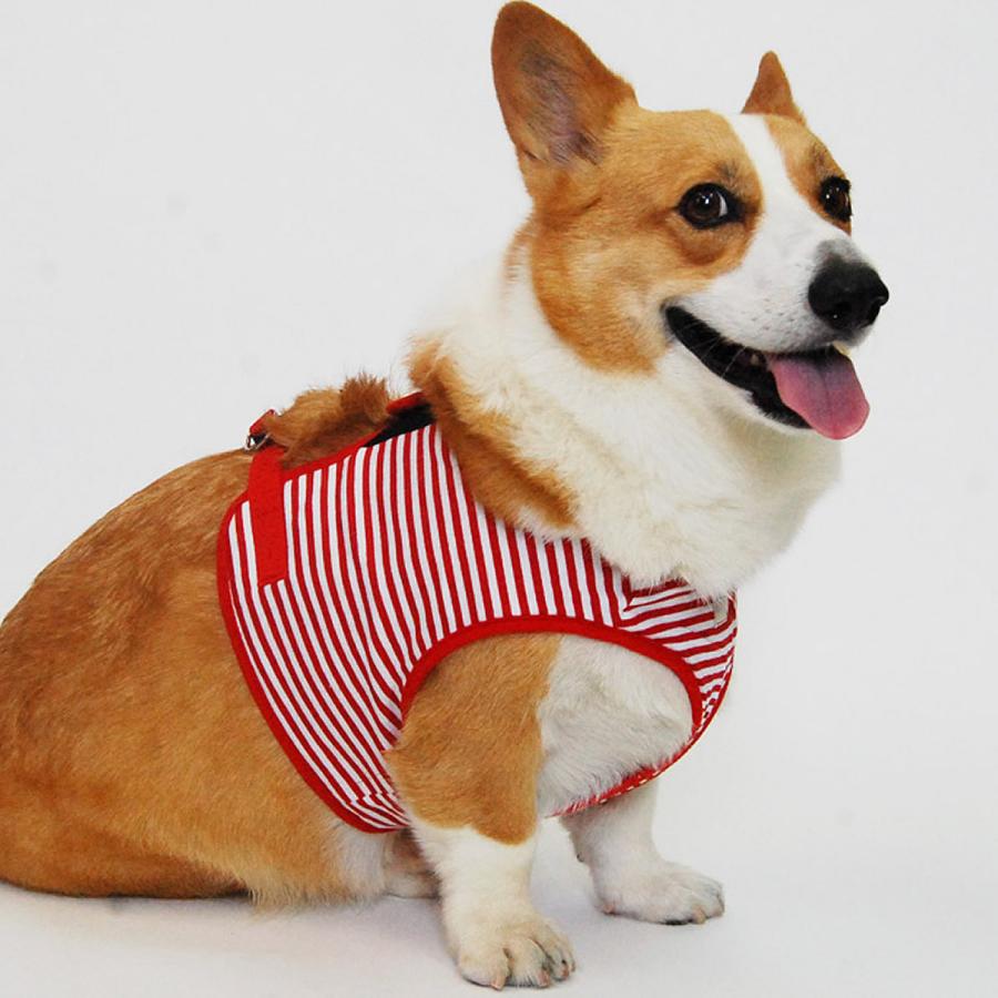 犬 ハーネス ASHU ウェアハーネスボーダー＆リードセット XLサイズの画像