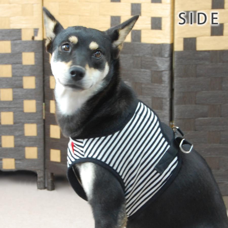 犬 ハーネス ASHU ウェアハーネスボーダー＆リードセット XLサイズの画像