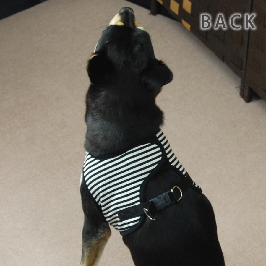 犬 ハーネス ASHU ウェアハーネスボーダー＆リードセット XLサイズの画像