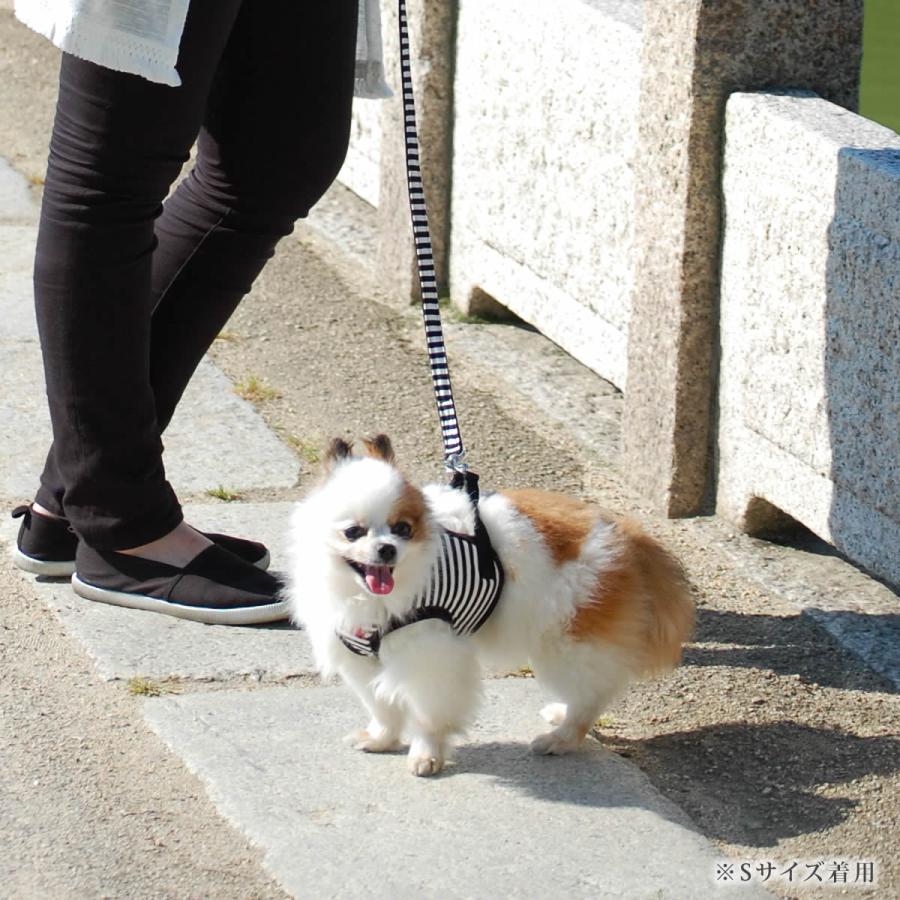 犬 ハーネス ASHU ウェアハーネスボーダー＆リードセット XLサイズの画像