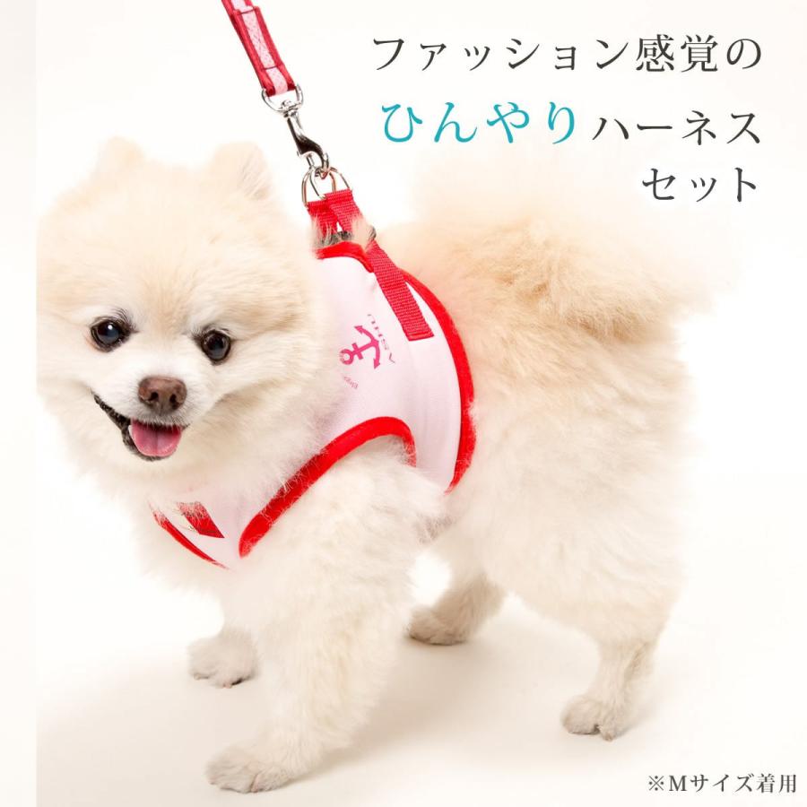 ASHUクールウェアハーネス＆リードセット LLサイズ 中型犬用の画像