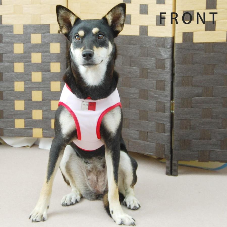 ASHUクールウェアハーネス＆リードセット LLサイズ 中型犬用の画像