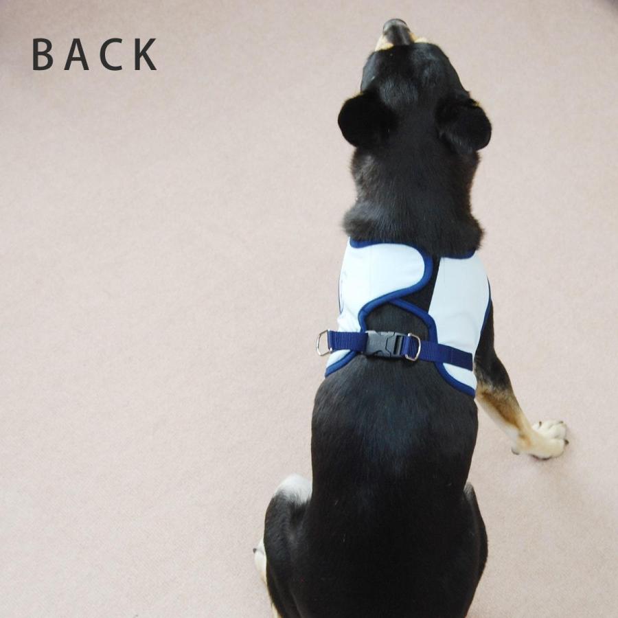 ASHUクールウェアハーネス＆リードセット LLサイズ 中型犬用の画像