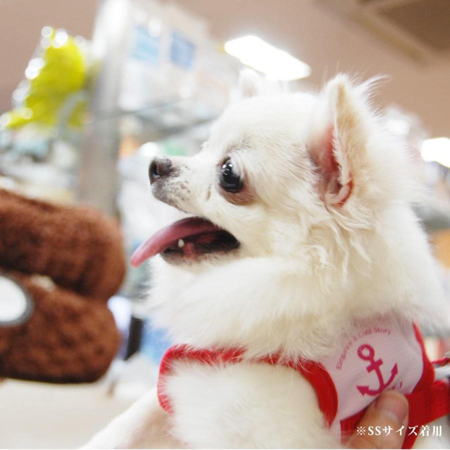 ASHUクールウェアハーネス＆リードセット XLサイズ 中型犬用の画像