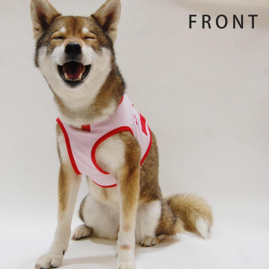 ASHUクールウェアハーネス＆リードセット XLサイズ 中型犬用の画像