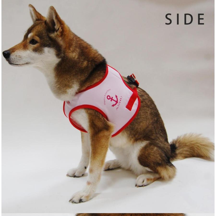 ASHUクールウェアハーネス＆リードセット XLサイズ 中型犬用の画像