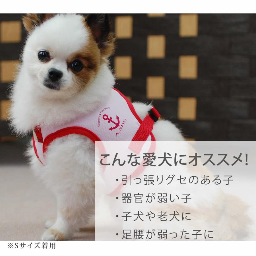 ASHUクールウェアハーネス＆リードセット XLサイズ 中型犬用の画像