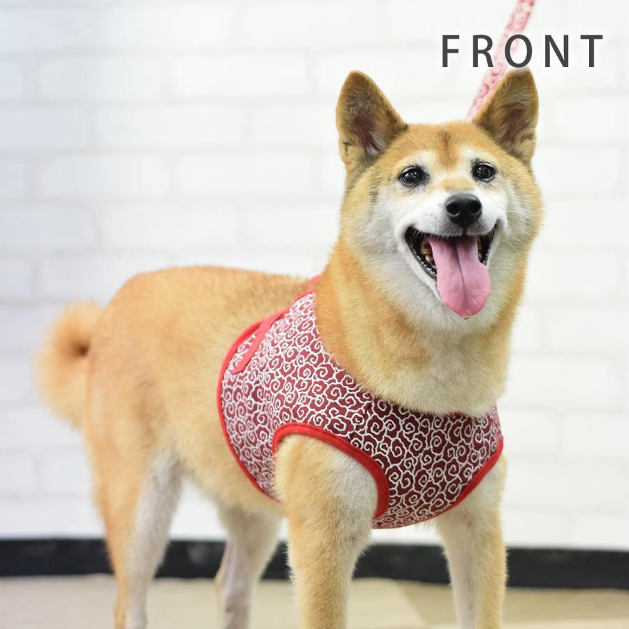 ASHUウェアハーネス 唐草セット LLサイズ(中型犬用)の画像
