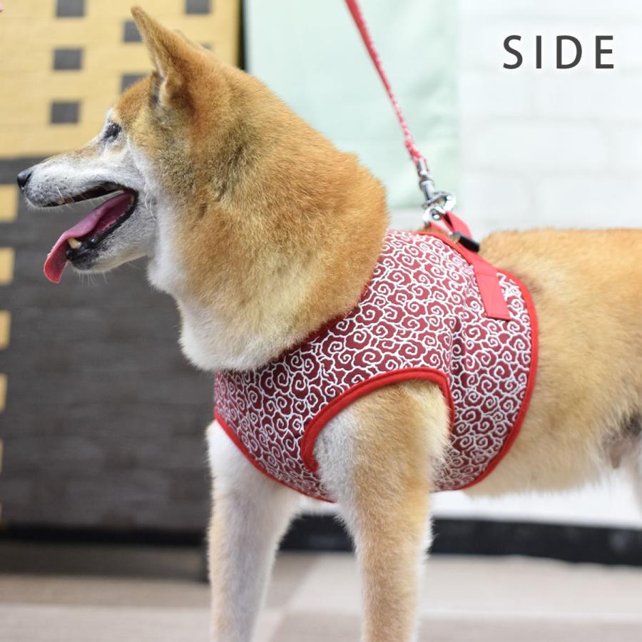 ASHUウェアハーネス 唐草セット LLサイズ(中型犬用)の画像