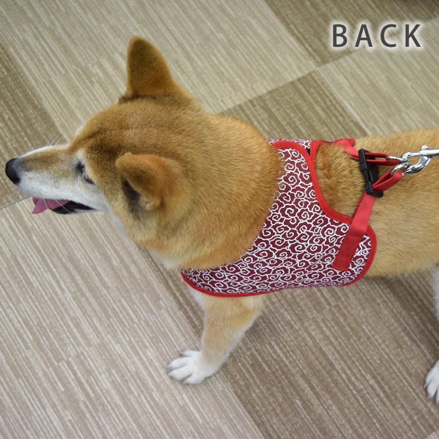 ASHUウェアハーネス 唐草セット LLサイズ(中型犬用)の画像