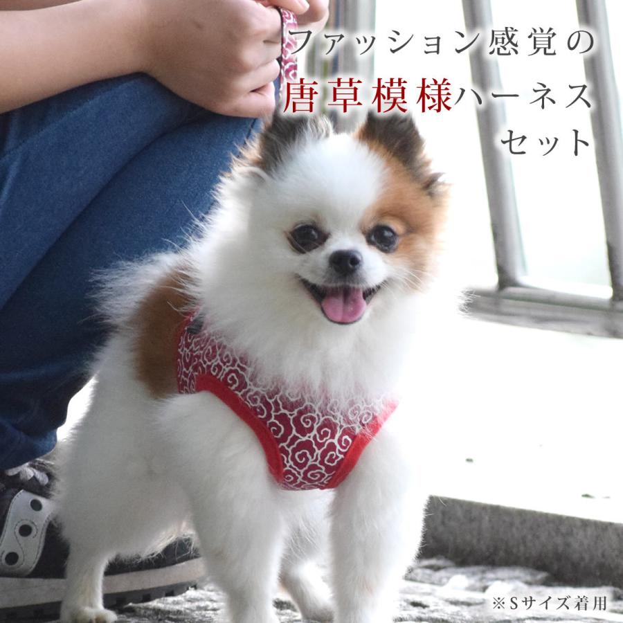 ASHUウェアハーネス 唐草セット XLサイズ(中型犬用)の画像