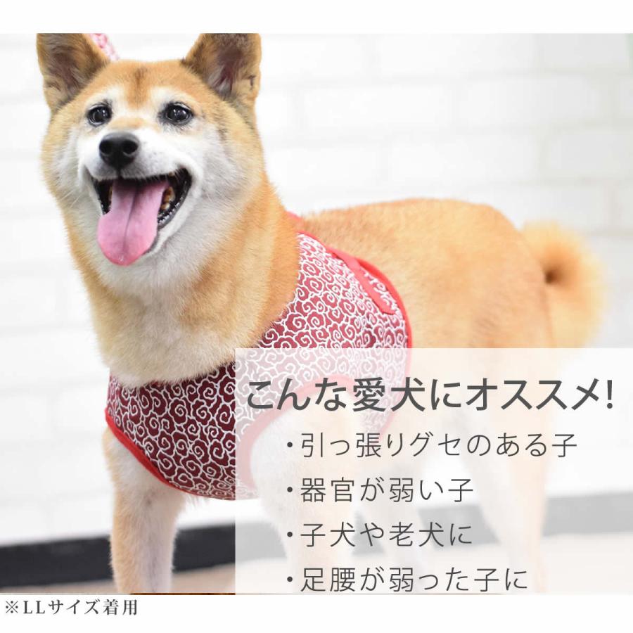 ASHUウェアハーネス 唐草セット XLサイズ(中型犬用)の画像