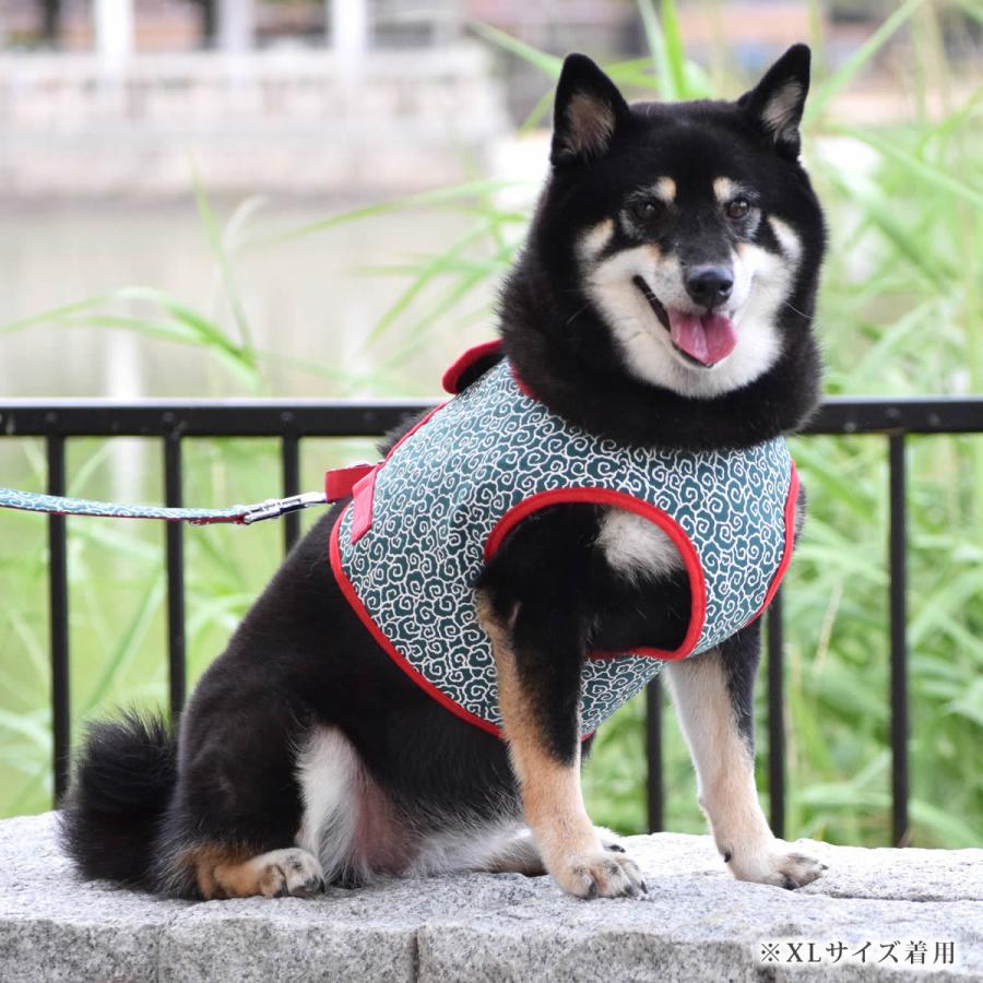 ASHUウェアハーネス 唐草セット XLサイズ(中型犬用)の画像