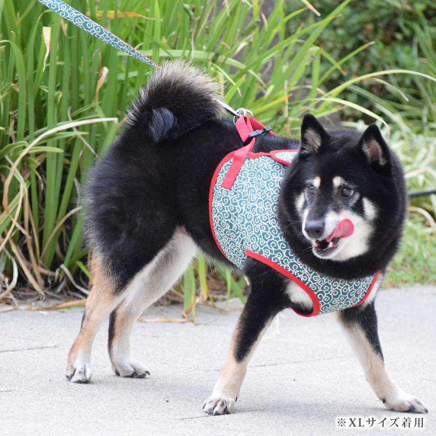 ASHUウェアハーネス 唐草セット XLサイズ(中型犬用)の画像