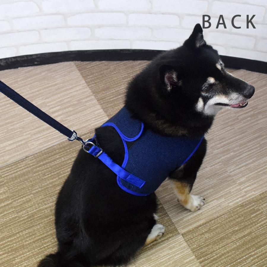 ASHUウェアハーネス モードセット XLサイズ(中型犬用)の画像