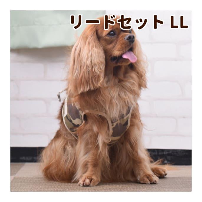 犬 ハーネス ASHU ウェアハーネス　迷彩　セット LLサイズ | ASHU