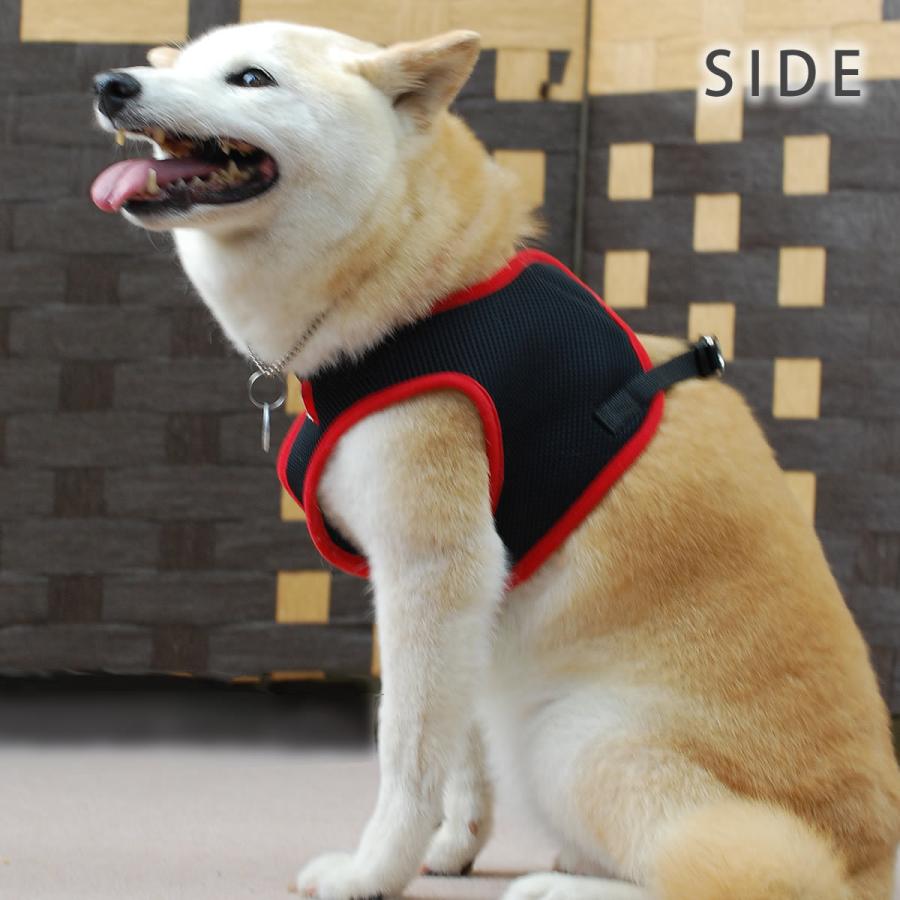 犬 ハーネス ASHUウェアハーネス＆リードセット Lサイズ | ASHU | 15