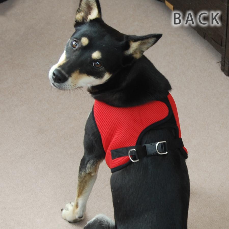 犬 ハーネス ASHUウェアハーネス＆リードセット LLサイズの画像