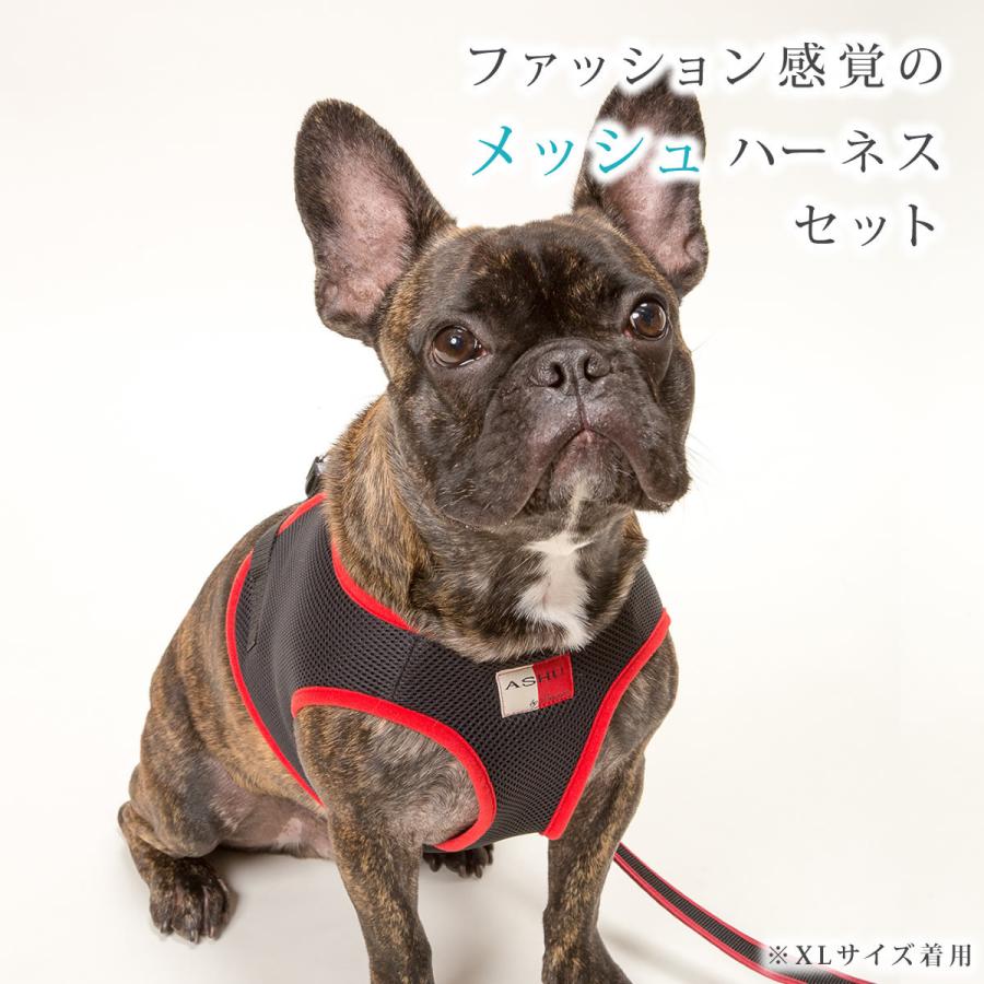 犬 ハーネス ASHUウェアハーネス＆リードセット Mサイズ | ASHU | 03