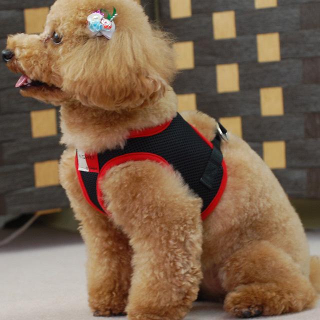 犬 ハーネス ASHUウェアハーネス＆リードセット Mサイズ | ASHU | 13