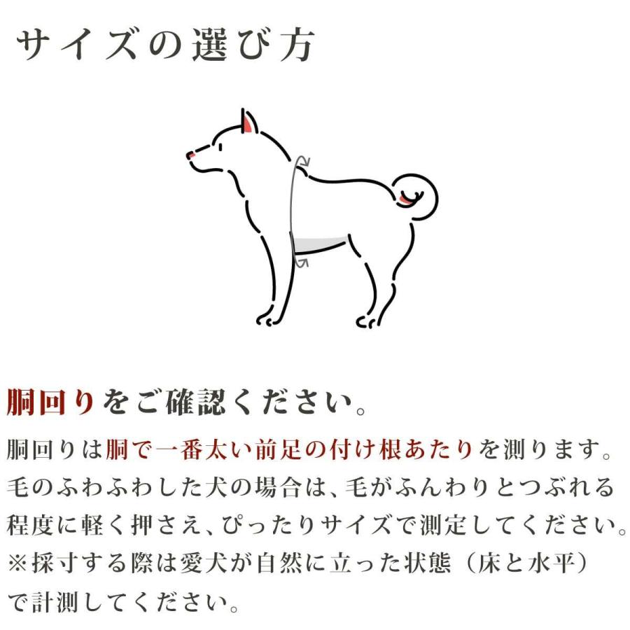犬 ハーネス ASHUウェアハーネス＆リードセット Mサイズ | ASHU | 21