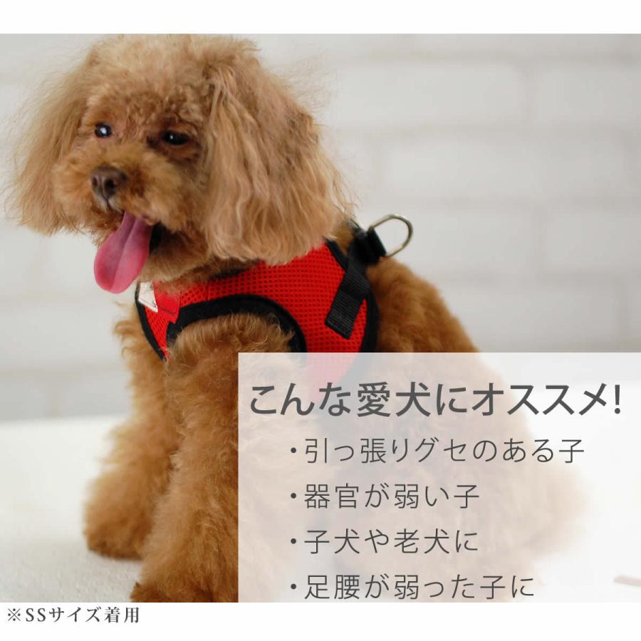 犬 ハーネス ASHUウェアハーネス＆リードセット Mサイズ | ASHU | 09