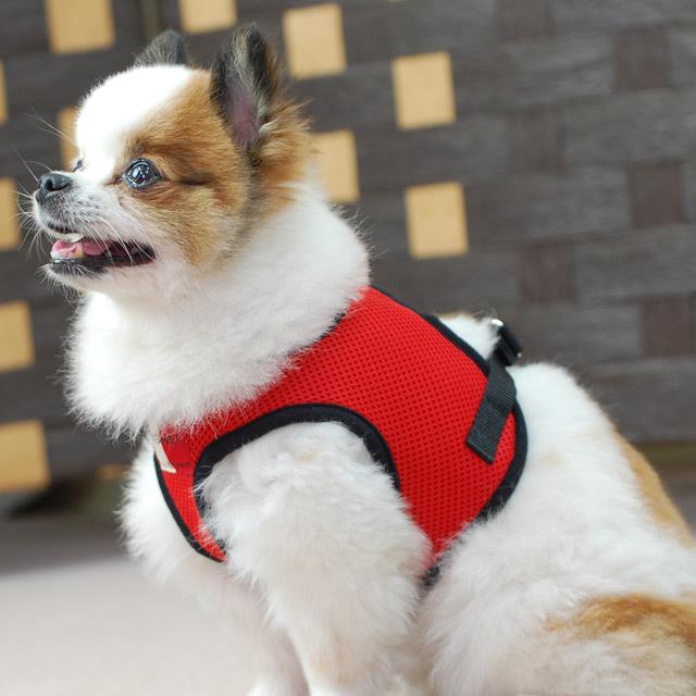犬 ハーネス ASHUウェアハーネス＆リードセット Sサイズ 犬 リード | ASHU | 13