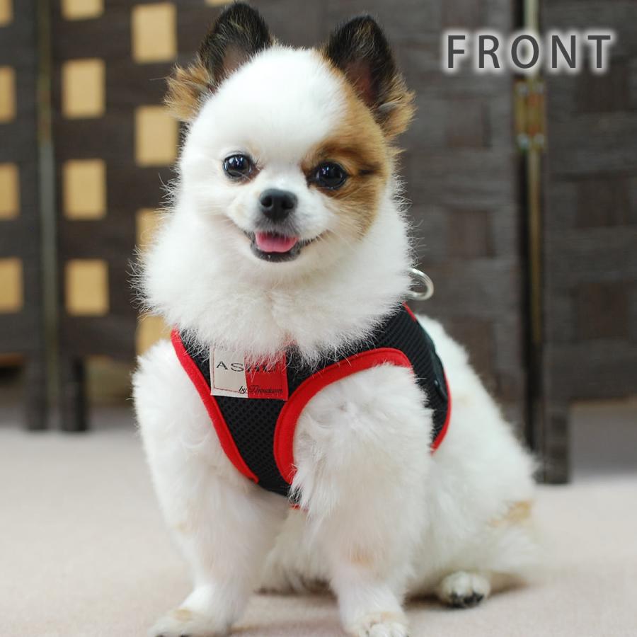 犬 ハーネス ASHUウェアハーネス＆リードセット Sサイズ 犬 リード | ASHU | 14