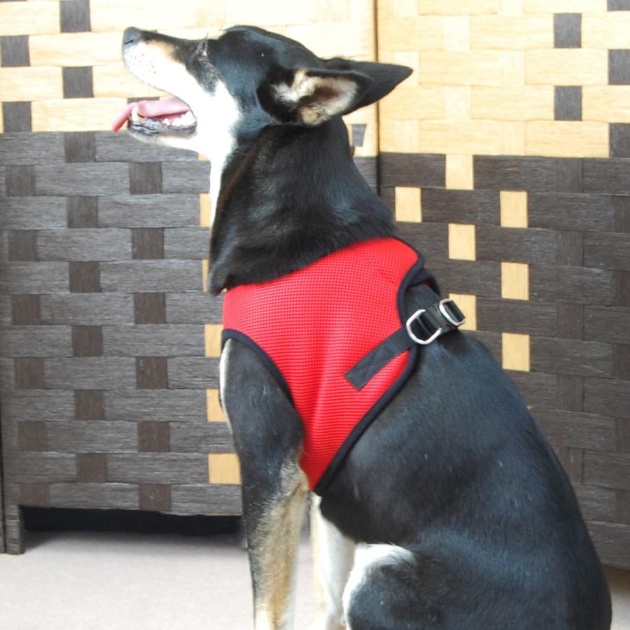 犬 ハーネス ASHUウェアハーネス＆リードセット XLサイズの画像