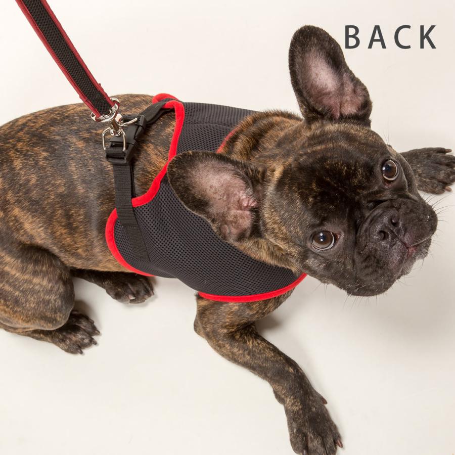 犬 ハーネス ASHUウェアハーネス＆リードセット XLサイズの画像