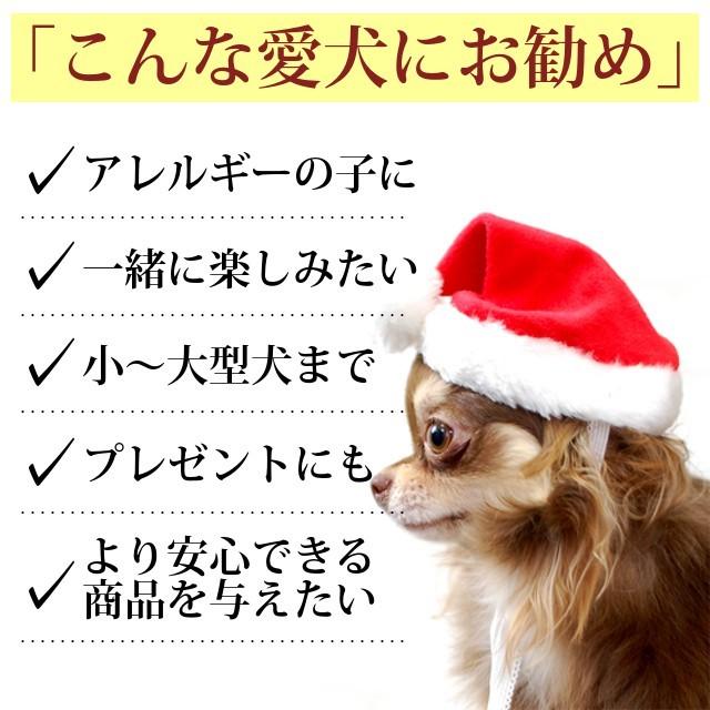 予約受付中 年 犬用ケーキ クリスマスケーキ スペシャルディナーセット 犬 スイーツ Wn 犬手作りごはん帝塚山ハウンドカム 通販 Yahoo ショッピング
