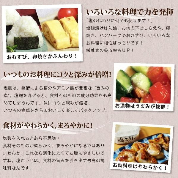 塩麹（しおこうじ）200g : 麹屋本舗法野麹店 - 通販 - Yahoo