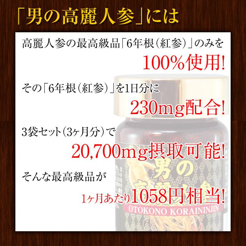高麗人参 サプリ 3ヶ月分 サプリメント 男の高麗人参 送料無料 男性