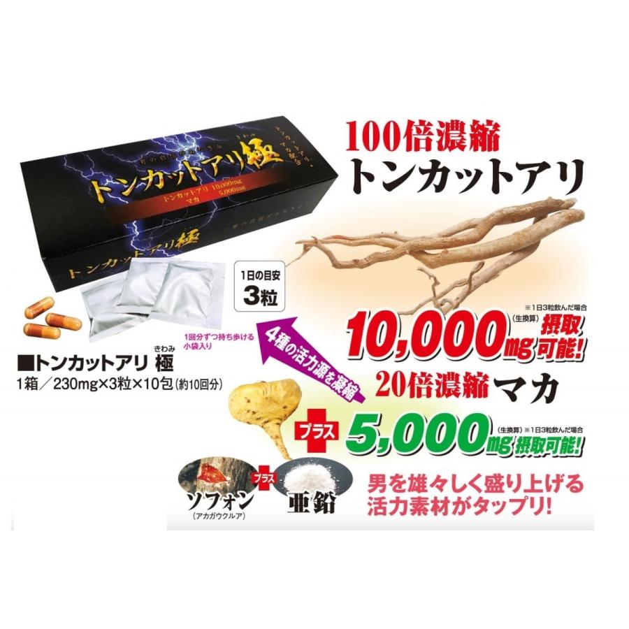 トンカットアリ サプリ 10日分 マカ 亜鉛 ソフォン おすすめ サプリメント 男性 性力 宝力本舗