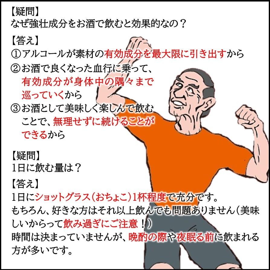 マムシ酒 高麗人参 ハブ マカ ガラナ 20種配合 仙人酒 5本セット 