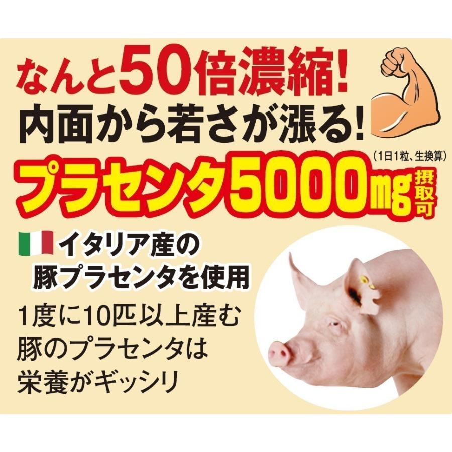 プラセンタ サプリ 3袋 90日分 150000mg配合 男のプラセンタ 更年期