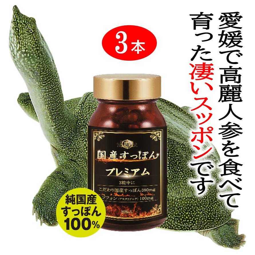 国産すっぽん 3ヶ月分 サプリ サプリメント 愛媛 スッポン100％ 活力