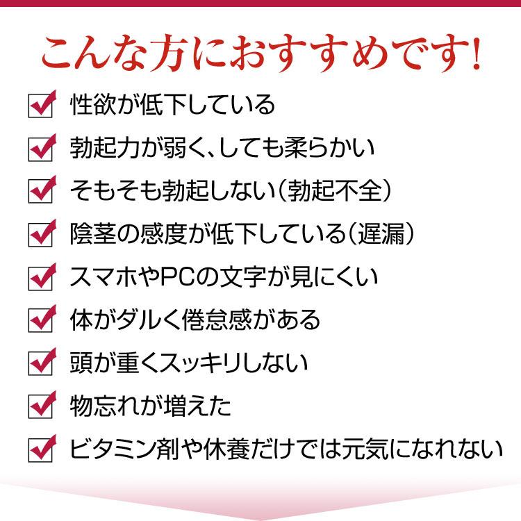 金蛇精 糖衣錠 300錠 テストステロン内服薬 性機能改善 男性ホルモン 1箱【第1類医薬品】勃起不全 性欲回復 性感減退 遅漏 宝力本舗公式