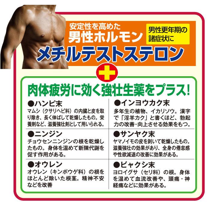 金蛇精 糖衣錠 300錠 テストステロン内服薬 性機能改善 男性ホルモン 1箱【第1類医薬品】勃起不全 性欲回復 性感減退 遅漏 宝力本舗公式