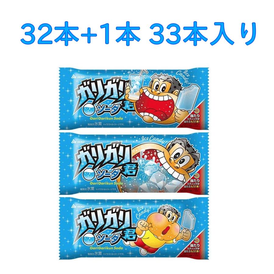 冷凍 赤城乳業 ガリガリ君 ソーダ 105ml×33本 : カップ麺の総合食品卸