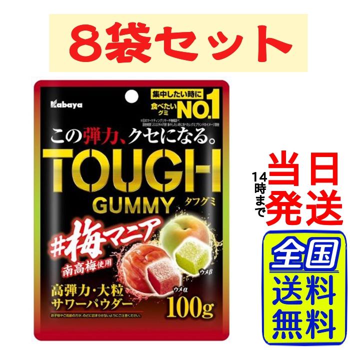 Kabaya カバヤ タフグミ 梅マニア 100g×8個 : カップ麺の総合食品卸