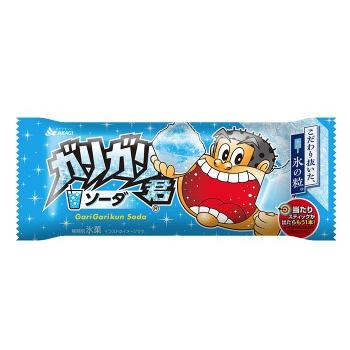 ガリガリ君 赤城乳業 5種各3袋 計15袋 アソートセット 【メーカー様の
