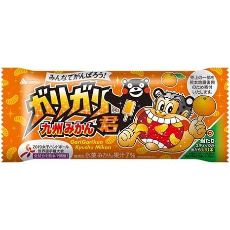 ガリガリ君 赤城乳業 5種各3袋 計15袋 アソートセット 【メーカー様の