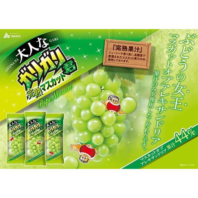 ガリガリ君 赤城乳業 5種各3袋 計15袋 アソートセット ガリガリ君 赤城乳業 5種各3袋 計15袋 アソートセット