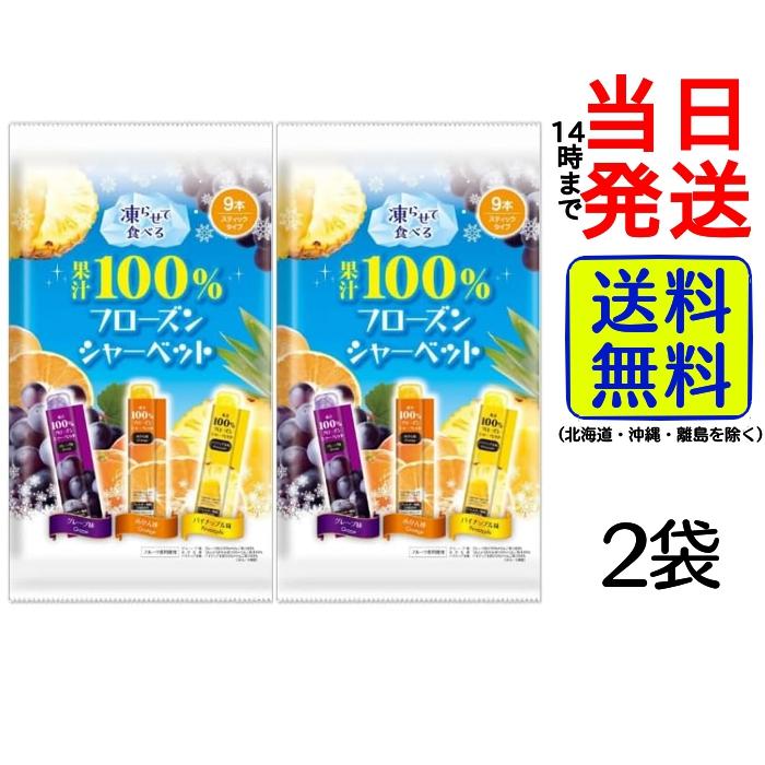 RIBBON リボン 凍らせて食べる 果汁100% フローズンシャーベット 9本