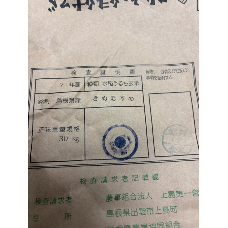 島根県産令和7年　新米　きぬむすめ 令和7年産 島根県産きぬむすめ 5kg - 美味しい島根のお米・新米の通販