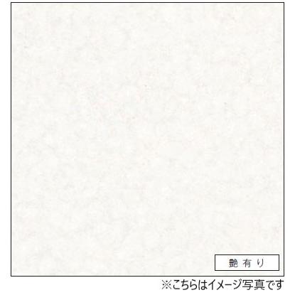 アイカ キッチンパネル セラール FAN1966ZMN 壁面用 鏡面仕上げ アイカ キッチンパネル セラール FAN1966ZMN 壁面用 鏡面仕上げ