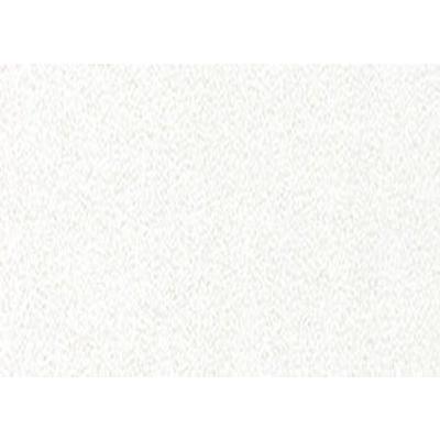 日本デコラックス パニートキッチンパネル(バスルーム・サニタリー・トイレスペース兼用) FX-3621G  シャインホワイト サイズ3mm×910mm×2420mm (3×8版)