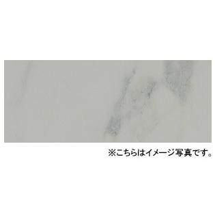 日本デコラックス パニートキッチンパネル(バスルーム・サニタリー・トイレスペース兼用) FX-3650G ビアンコカラーラ サイズ3mm×910mm×2420mm (3×8版)｜house-tss-y