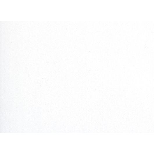 日本デコラックス パニートスリム バスルーム オリジナル サニタリー トイレスペース兼用 直輸入品激安 FX-896G 3×6 ミルキーホワイト サイズ3mm×910mm×1820mm